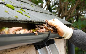 gutter cleaning Holywood