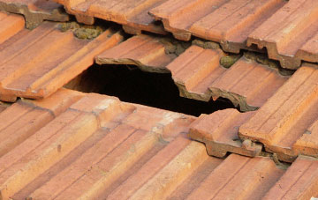 roof repair Holywood