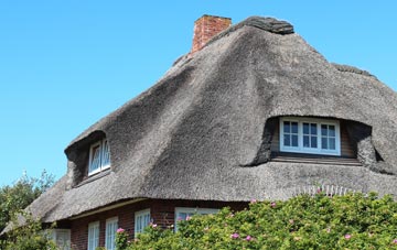 thatch roofing Holywood